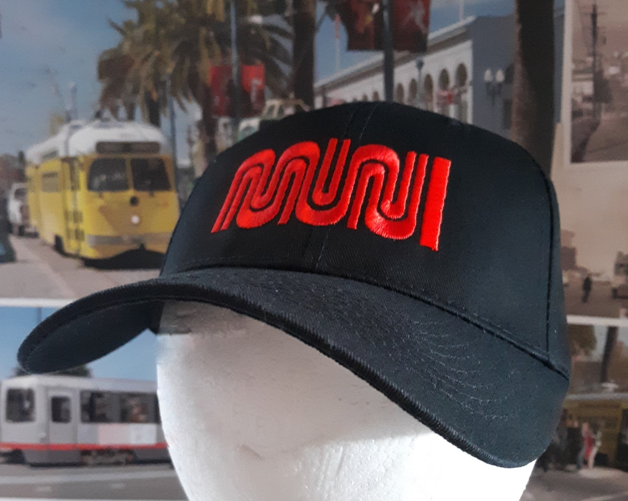 Muni-Worm-Cap-edited-3.jpg